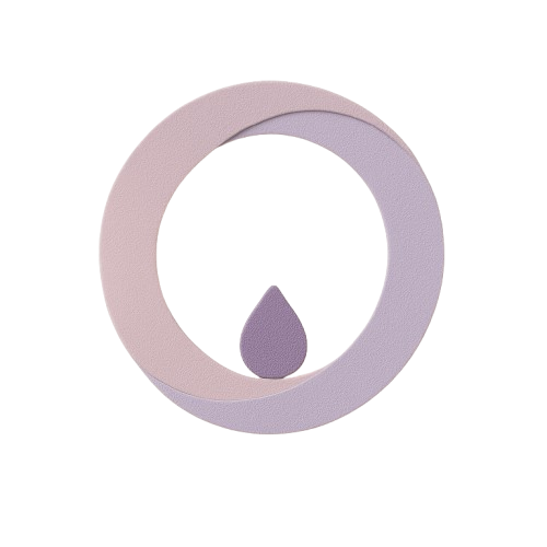Nuevo ciclo